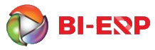 bi-erp.com